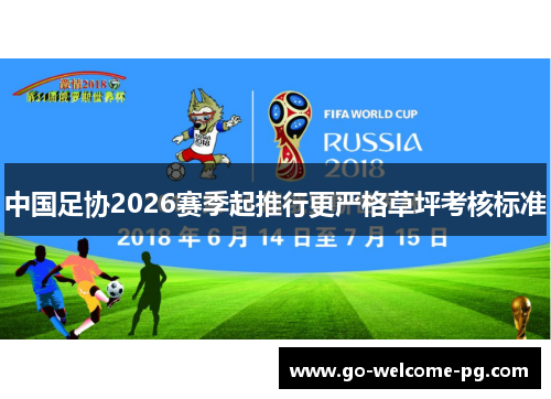 中国足协2026赛季起推行更严格草坪考核标准