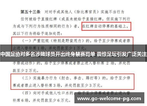 中国足协对多名涉赌球员开出终身禁赛罚单 震惊足坛引发广泛关注