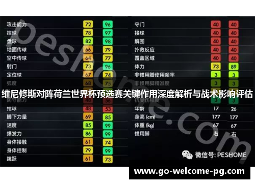 维尼修斯对阵荷兰世界杯预选赛关键作用深度解析与战术影响评估