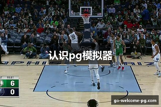 认识pg模拟器